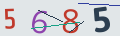 verifycode